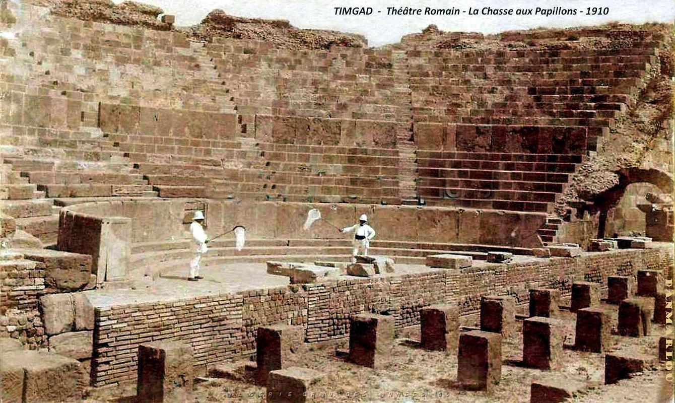 2698- Timgad - Theatre Romain - Chasse aux Papillons - 1910.jpg
